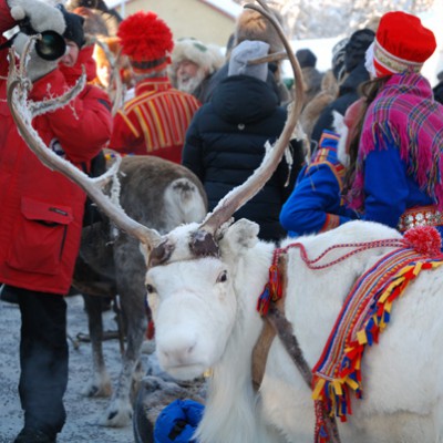 Marknadsfredag 2013