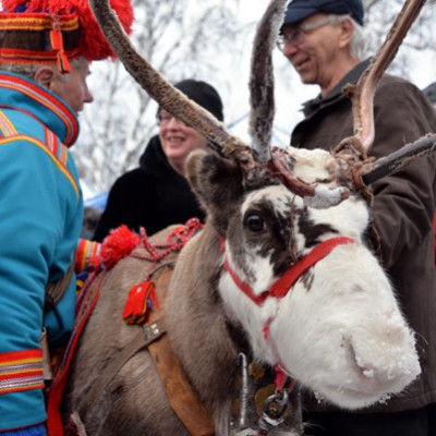 Marknad 2015